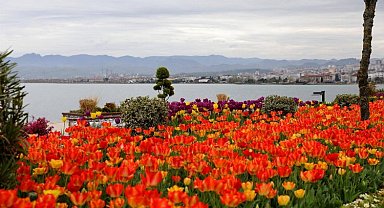 Karadeniz'in incisi Ordu