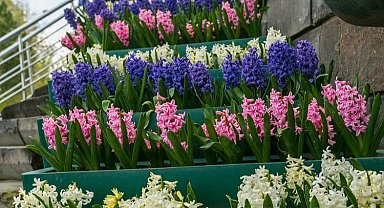 Kayseri bayrama rengarenk girdi