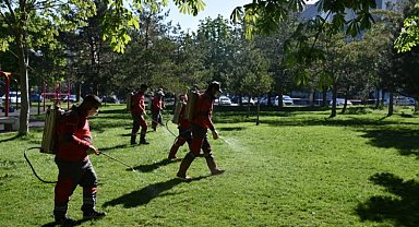 Kocasinan'dan huzurlu bir yaz için haşere ile mücadele