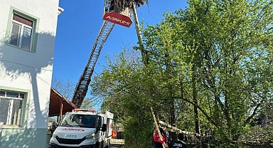 Leyleklerin yuvası yıkılmaktan kurtarıldı