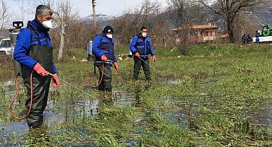 Muğla'da vektörle mücadeleye devam