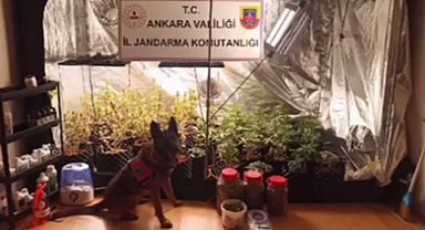 Narkoçelik-13'te 194 gözaltı