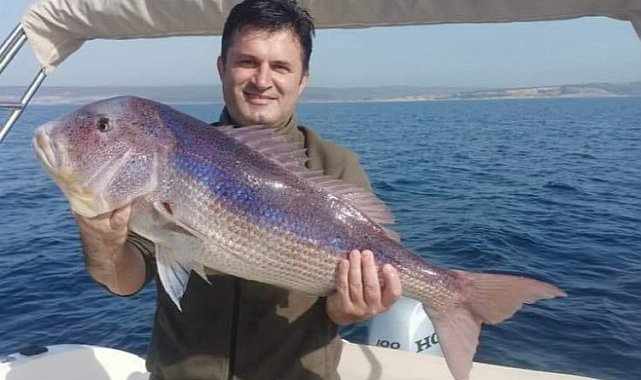 Saros'da yakalanan balık şaşkınlık yarattı