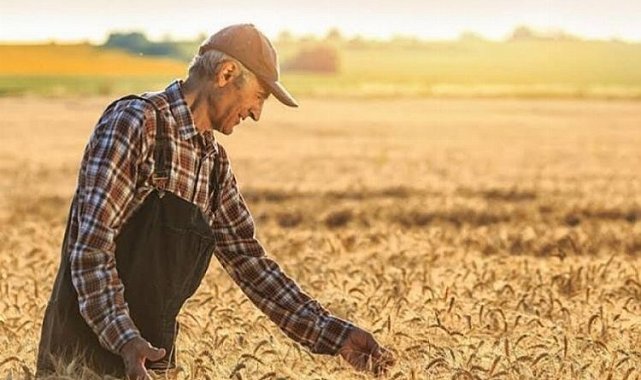 Tarımsal girdiler artışta... Veteriner harcamaları revaçta