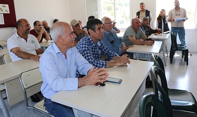 Büyükşehir'den Manisalı arıcılara ana arı desteği