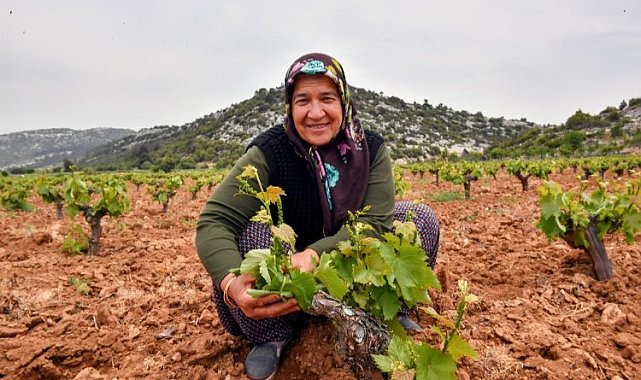 Çiftçinin yüzü organikle gülüyor