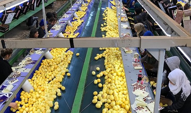 Dünya sofraları Türkiye'den hem lezzet, hem şifa alıyor