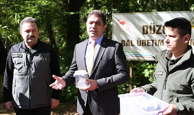 Düzce Valiliğinden gal arısı ile mücadele