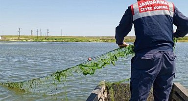 Edirne'de jandarma balık ağlarını topladı