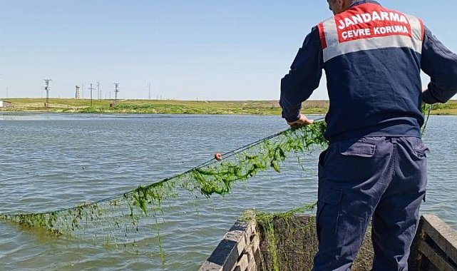 Edirne'de jandarma balık ağlarını topladı