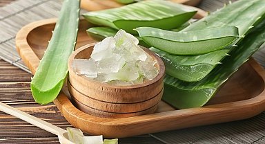 Evde yetiştirebileceğiniz 5 şifalı bitki