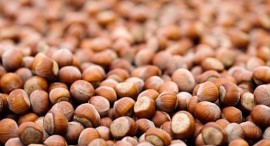 Ferrero Grubu, hedeflerine ulaşma yolunda önemli ilerleme kaydetti