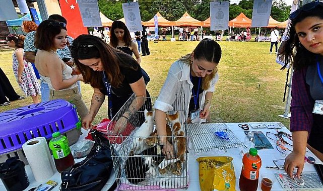 İzmir'de 'sahiplendirme' şenliği