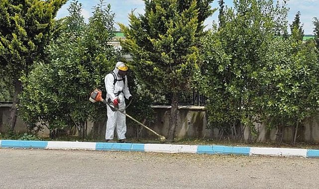 Kocaeli Dilovası'nda yaz temizliği