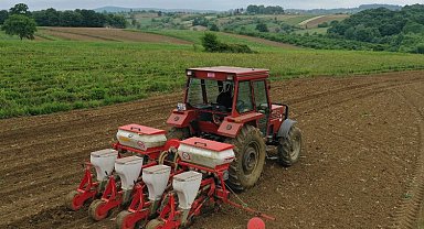Kocaeli'de mısır tohumları toprakla buluşuyor