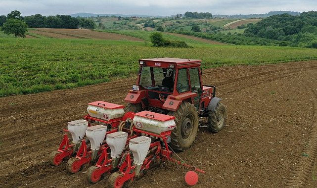 Kocaeli'de mısır tohumları toprakla buluşuyor