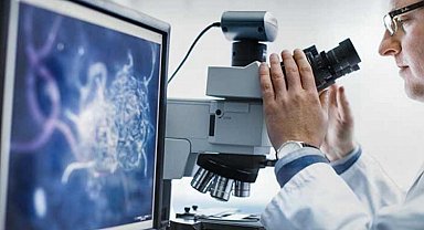 Mesleki ve bilimsel hizmetler revaçta