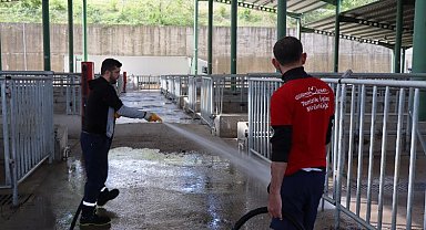 Modern Hayvan Pazarı, Kurban Bayramı'na hazırlanıyor