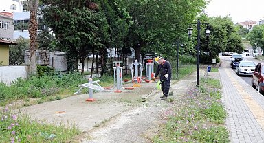 Mudanya'da park ve yeşil alanlara bakım