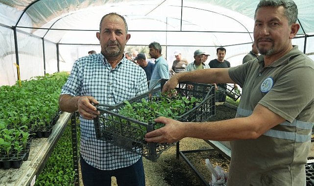 Muğla Milas'ta üreticilere fide desteği