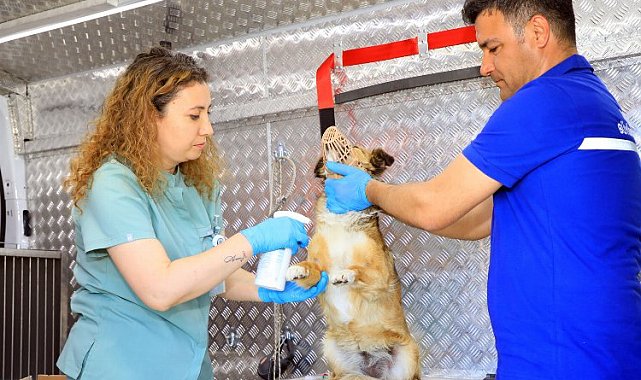 Muğla'da can dostlara acil müdahale aracı
