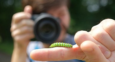 Ormanya "Tür Say" etkinliğinde 462 gözlem gerçekleşti