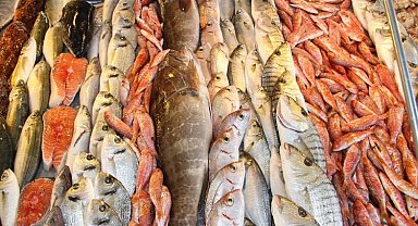 Su ürünleri ihracatı arttı... Levrek 517 milyon dolar, Çipura 418 milyon dolar kazandırdı