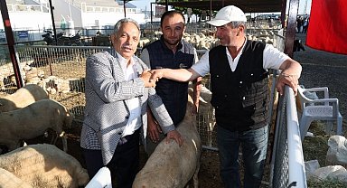 Talas'ta kurban pazarına başvurular başladı