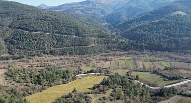 Arsalar yükselen değer olmayı sürdürüyor
