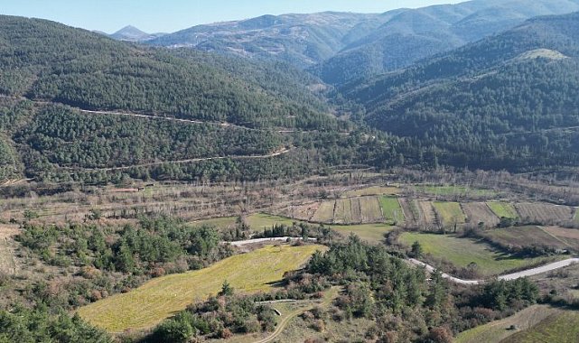Arsalar yükselen değer olmayı sürdürüyor