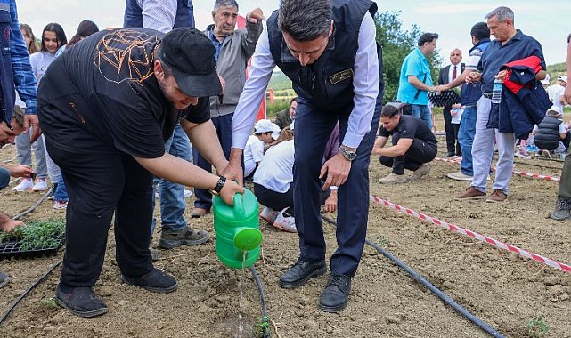 Bilecik Bozüyük'te fideler ilk can suyu Vali Aygöl'den