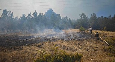 Bursa Büyükorhan'da yangın kabusu