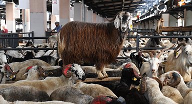 Bursa Osmangazi'de kurban kesim noktaları belli oldu