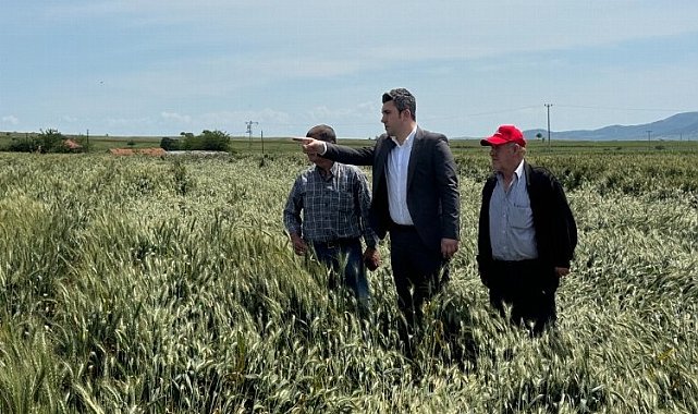 Çakır'dan hububat alım fiyatları eleştirisi