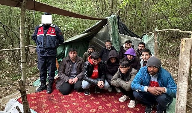 Edirne Meriç'te 11 göçmen yakalandı