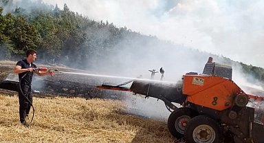 Edirne'de anız yangını ormana sıçradı
