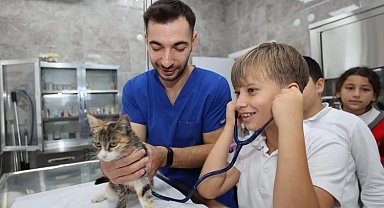 Gebze'de 309 patili cana yeni yuva bulundu