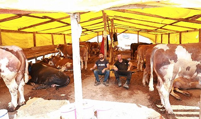 Gebze'de kurban pazarında satışlar başladı