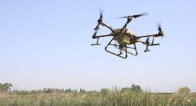 Hatay'da droneli ilaçlama başladı