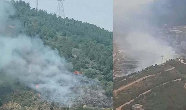 İzmir Narlıdere'de orman yangını!