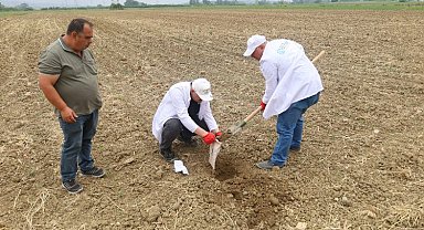 Kocaeli'de çiftçilere ücretsiz toprak analizi