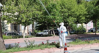 Konya Selçuklu'da ilaçlama çalışmalarına devam