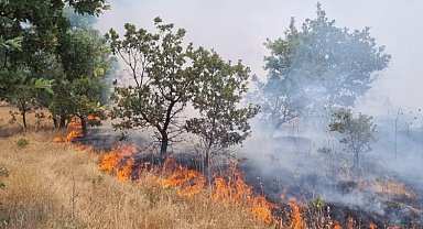 Manisa'da ormanlık alanı tehdit eden yangın