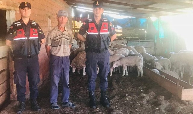 Meriç'te 62 kayıp küçükbaş hayvanlar drone ile bulundu