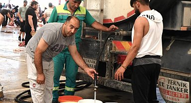 Osmangazi'de kurbanlıklar hijyenik ortamlarda kesildi