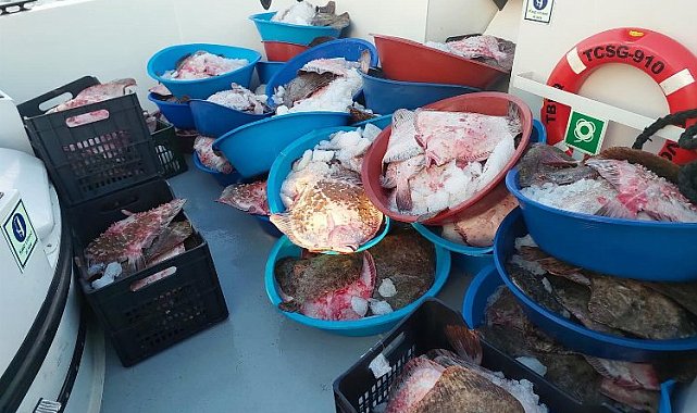 Şile'de kaçak avcılık operasyonu