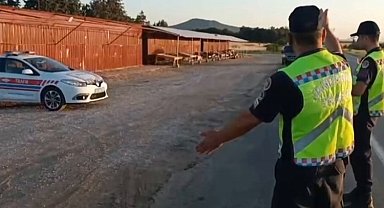 Trafikte 2,8 milyon araç denetlendi