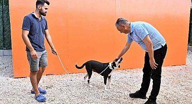 Başkan Uysal: 'Denge Sağlanmalı'