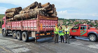 Bursa İnegöl'de orman ürünü taşıyan kamyonlara denetim