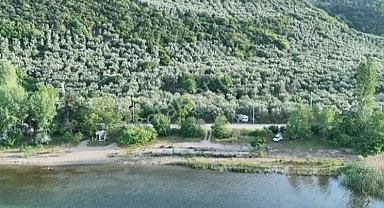 Bursa İznik'in zeytin tarlaları ilçeye renk katıyor